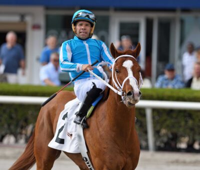 Mage, horse, Grandview Equine, Maiden Special Weight, sábado, 29 de enero de 2023, Gulfstream Park. Foto: Coglianese Photo