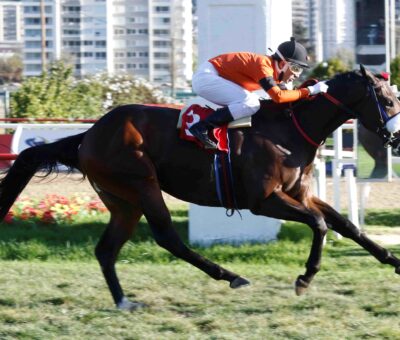 Toy Soltero, horse, Van Nistelrooy, Clásico Nicanor Señoret, lunes, 1 de mayo de 2023, Valparaíso Sporting Club. Foto: Jaime Cortés