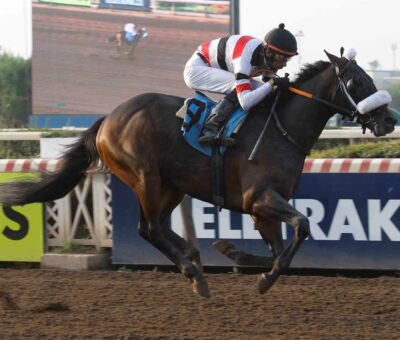 Yahshua, horse, Haras Santa Sara, Clásico Víctor Matetic Fernández, sábado, 6 de mayo de 2023, Hipódromo Chile. Foto: Jaime Cortés