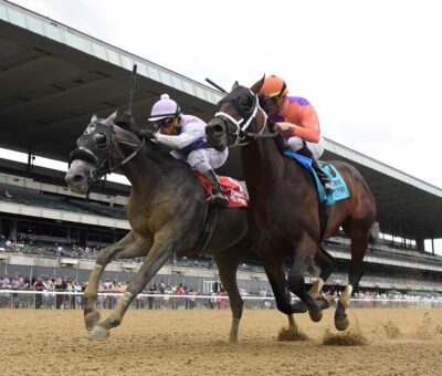 Arcangelo, horse, Arrogate Peter Pan Stakes, sábado, 13 de mayo de 2023, Belmont Park. Foto: Coglianese Photo