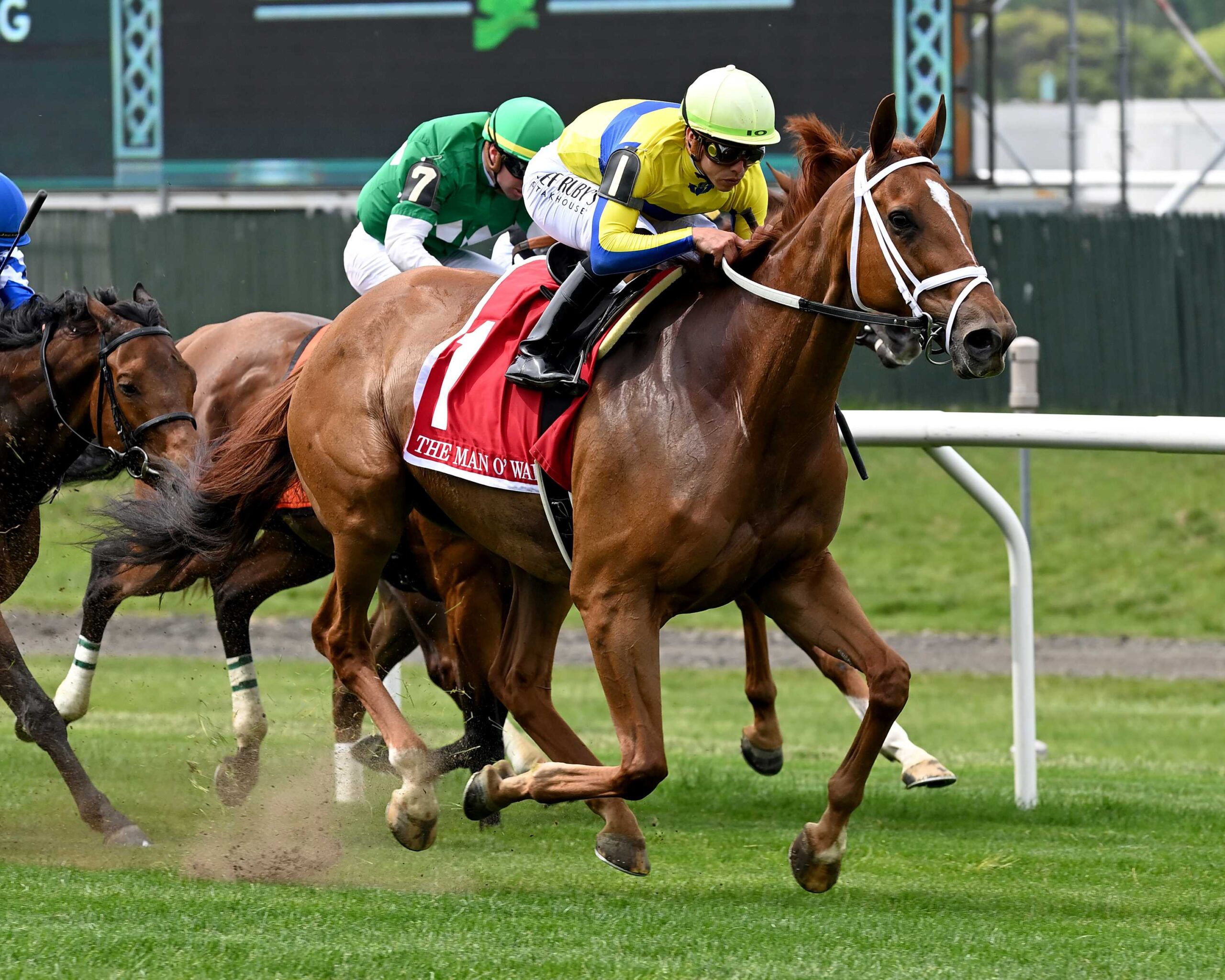 Red Knight, horse, Trinity Farm, Man o´War Stakes, sábado, 13 de mayo de 2023, Belmont Park. Foto: Coglianese Photo