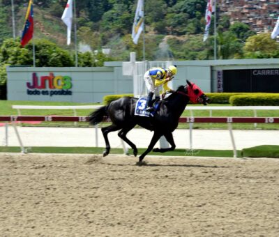 El De Froix, horse, Haras La Orlyana, Clásico Ejército, domingo, 2 de junio de 2023, La Rinconada. Foto: José Antonio Aray