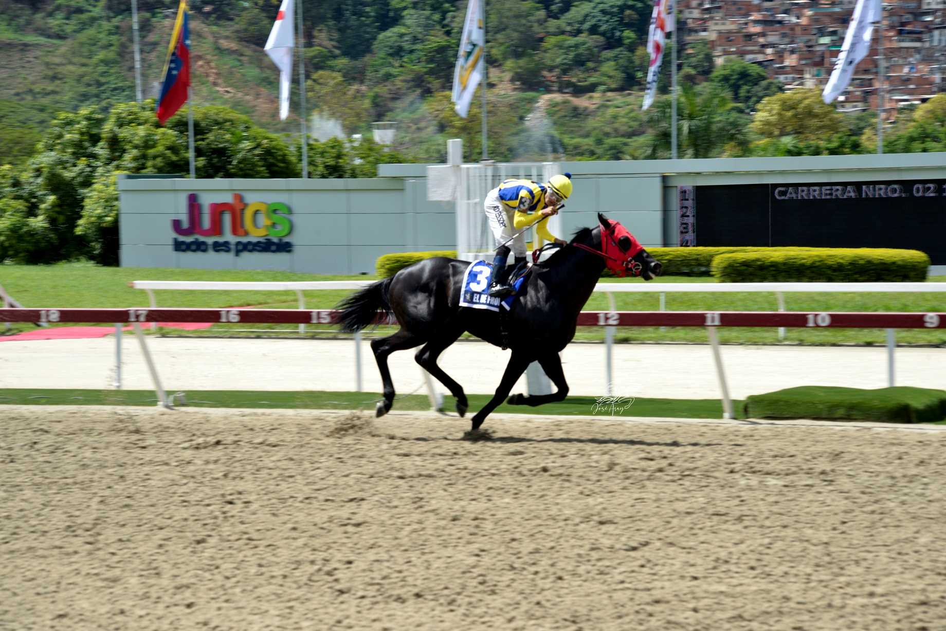 El De Froix, horse, Haras La Orlyana, Clásico Ejército, domingo, 2 de junio de 2023, La Rinconada. Foto: José Antonio Aray
