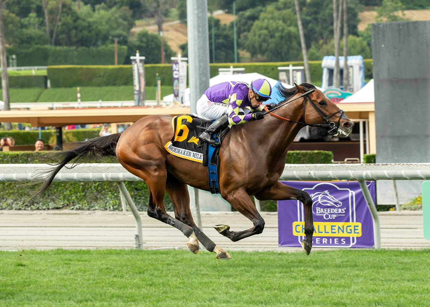 Exaulted, Horses, Twirling Candy, Shoemaker Mile Stakes, lunes, 29 de mayo de 2023, Santa Anita Park. Foto: Benoit Photo