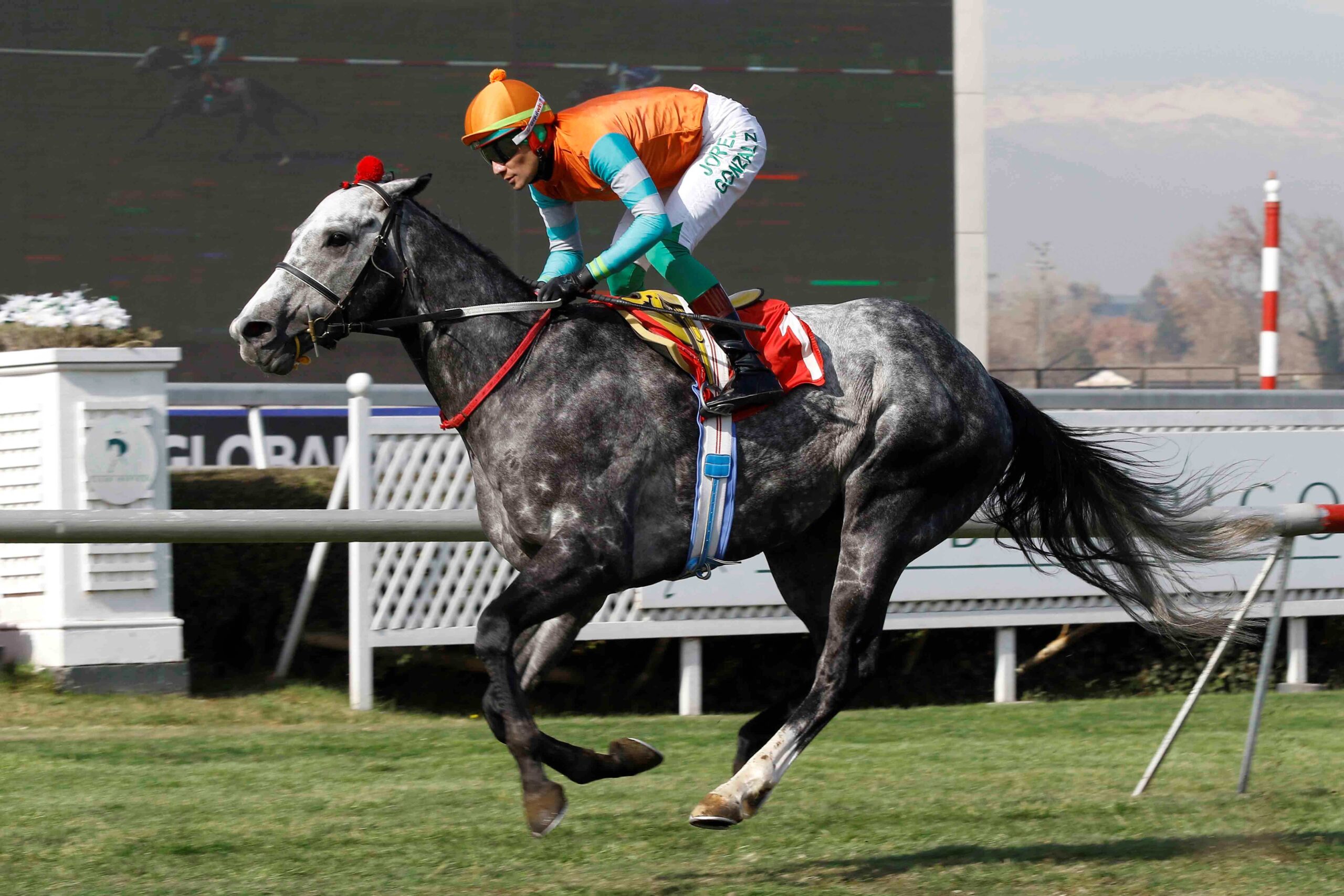 Facundo H, horse, Midshipman, Clásico Ismael Tocornal, viernes, 16 de junio de 2023, Club Hípico de Santiago. Foto: Jaime Cortés