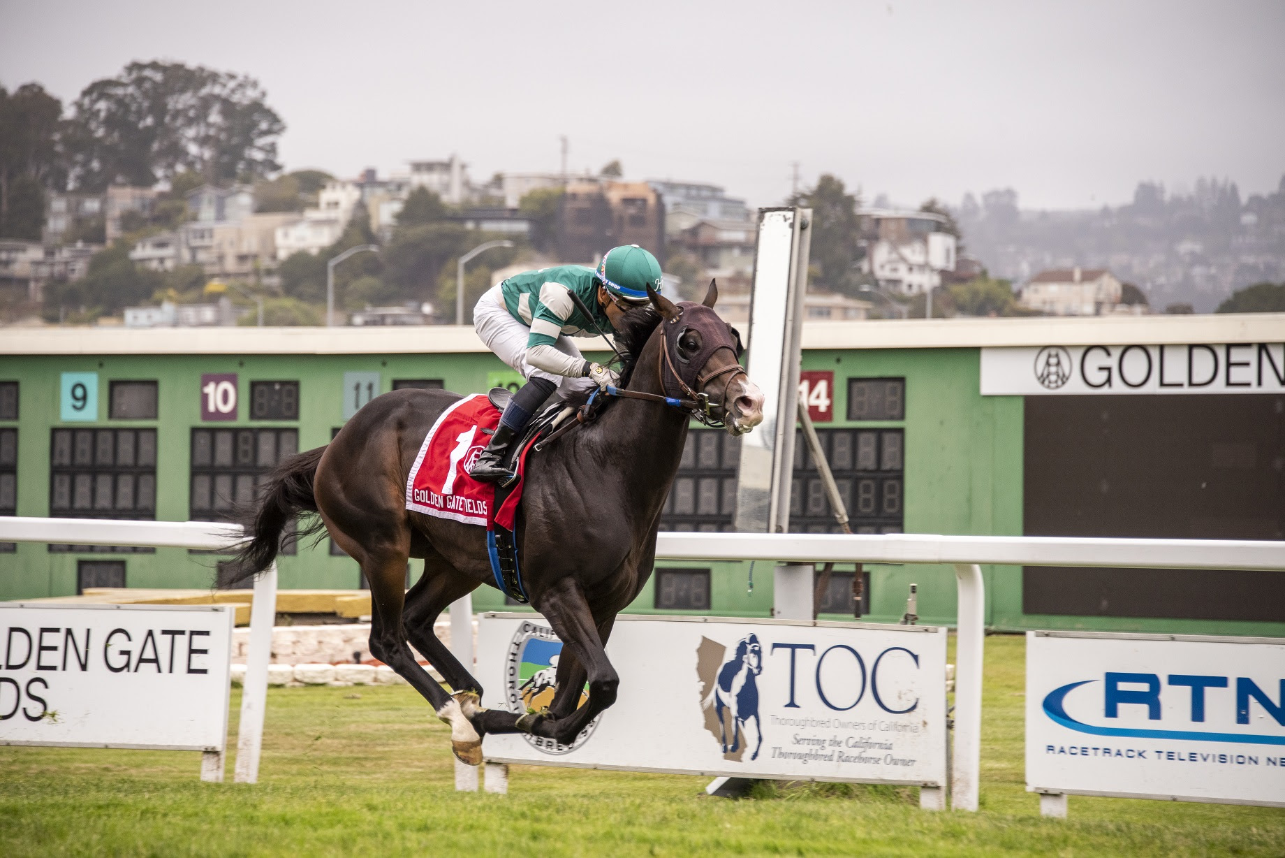 Game Time, Horses, Not This Time, San Francisco Mile Stakes, domingo, 28 de mayo de 2023, Golden Gate Fields. Foto: Vassar Photography