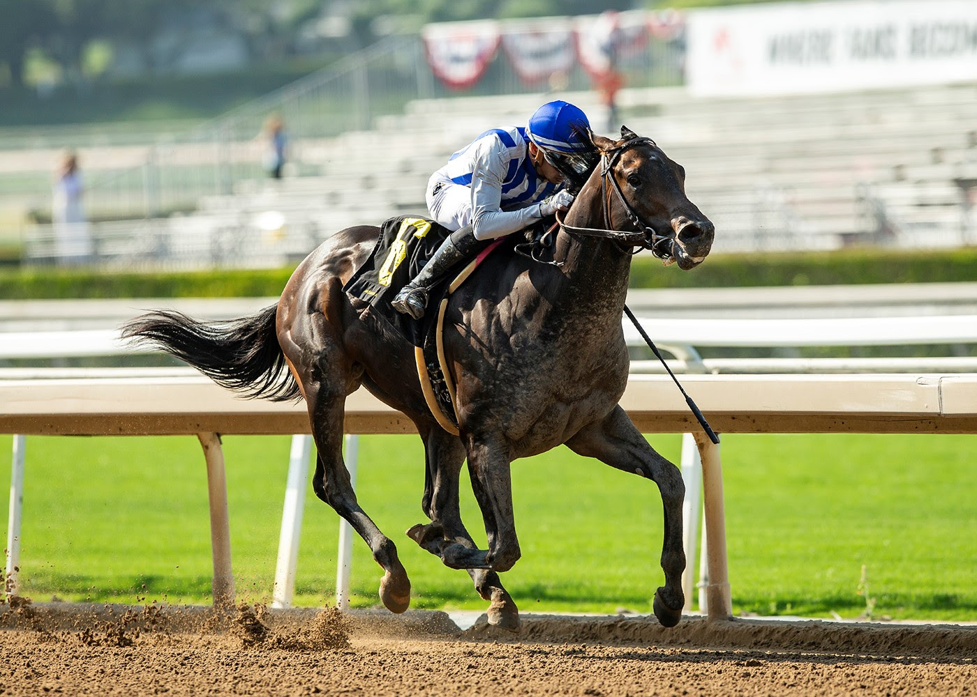 Geaux Rocket Ride, Horses, OXO Equine LLC, Affirmed Stakes, domingo, 4 de junio de 2023, Santa Anita Park. Foto: Benoit Photo