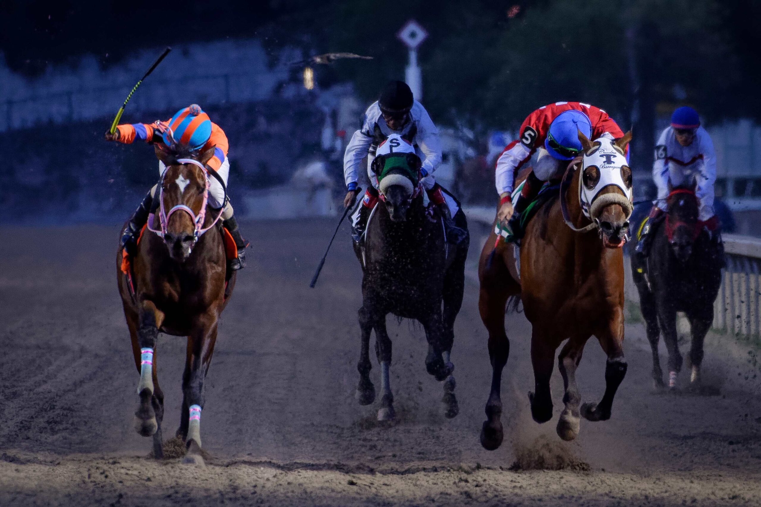 Harpeth River, horses, Cuadra AG, Hándicap Gay Dalton, Hipódromo de Las Américas, sábado, 17 de junio de 2023. Foto: Miguel Ángel Espinoza