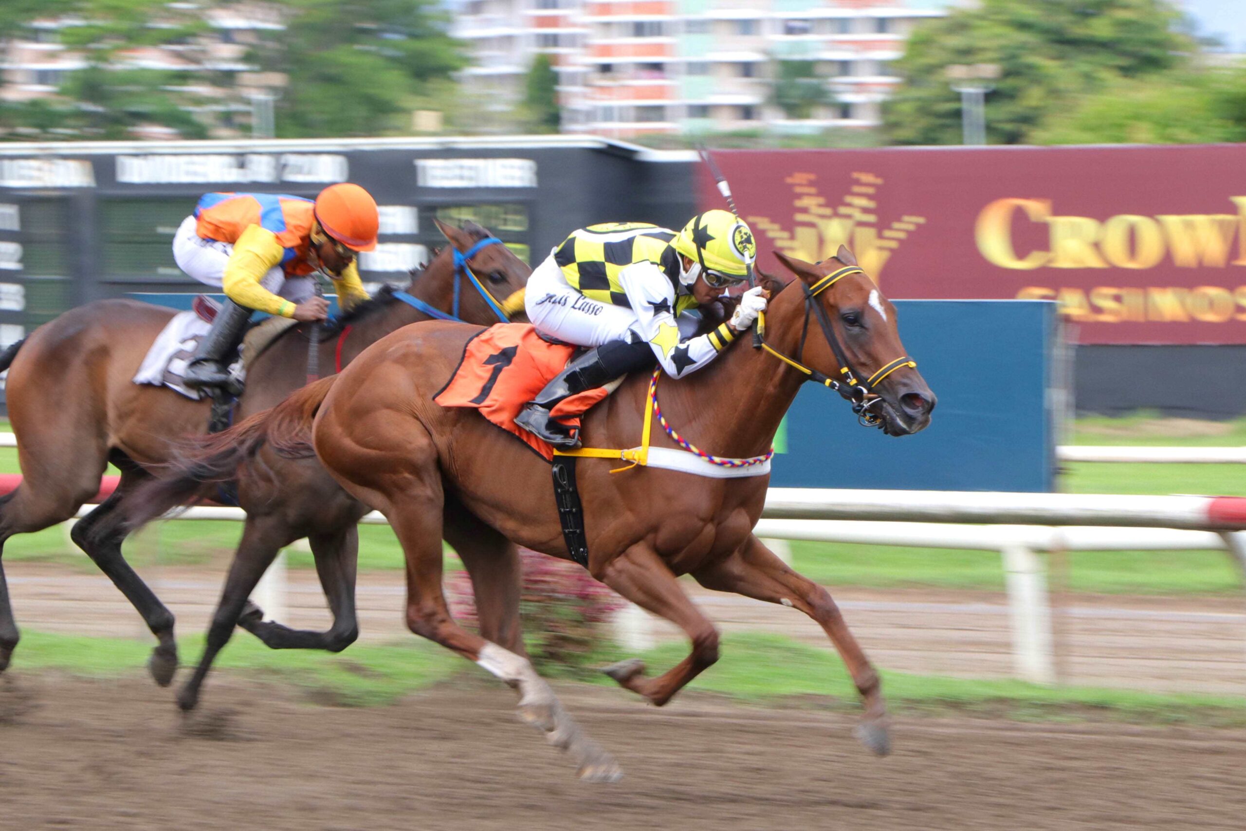 La Emperatriz, horse, Haras Cerro Punta, Clásico Familia Duque, sábado, 10 de junio de 2023, La Rinconada. Foto: Erick Ruiz Prensa CODERE Panamá