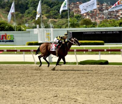 Mi Querida Emma, horse, Haras La Orlyana, Clásico Hipódromo La Rinconada, domingo, 2 de junio de 2023, La Rinconada. Foto: José Antonio Aray