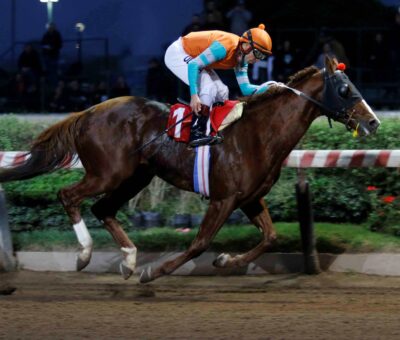 Ñiquense, horse, Haras Don Alberto, Clásico Gran Premio de Honor, sábado, 3 de junio de 2023, Hipódromo Chile. Foto: Jaime Cortés