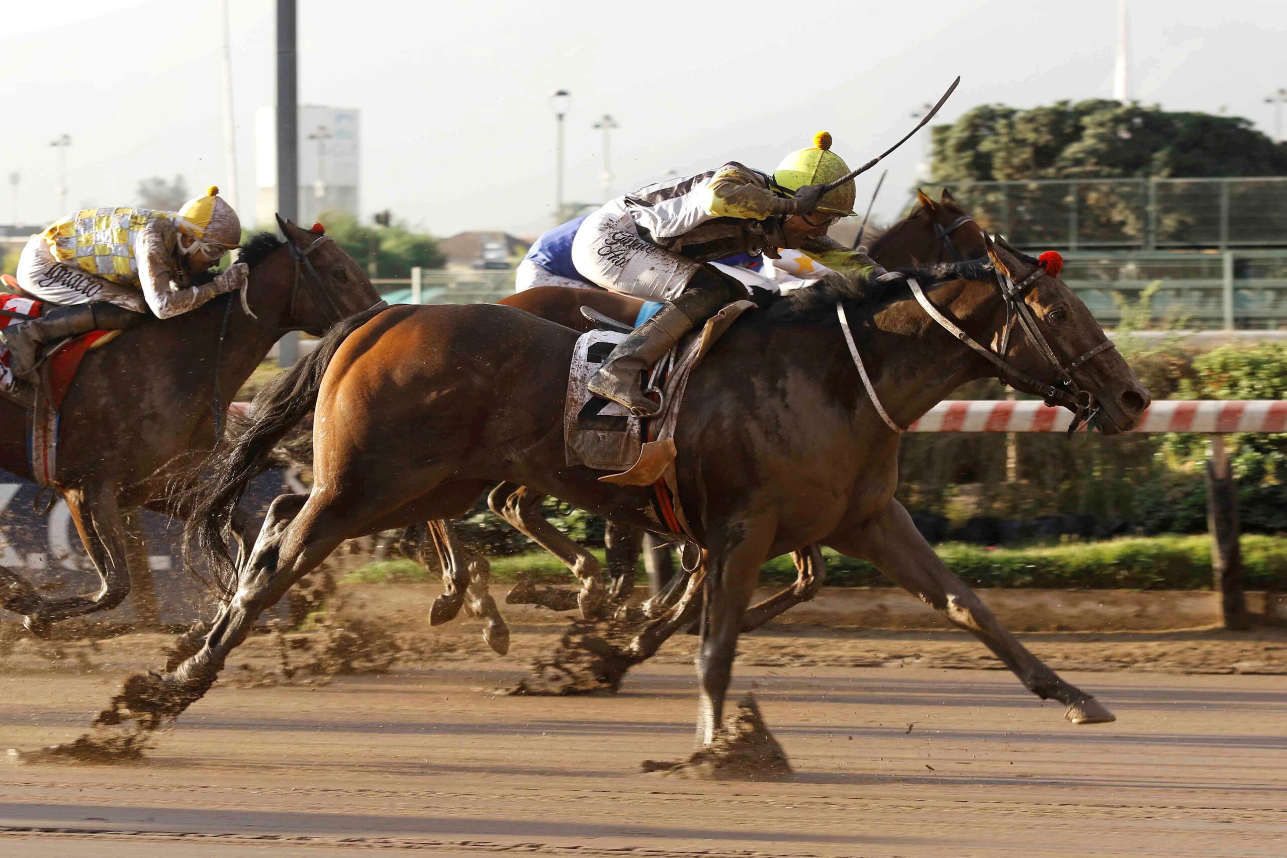 Soqui, horses, Practical Joke, Clásico Tanteo de Potrillos, sábado, 24 de junio de 2023, Hipódromo Chile. Foto: Jaime Cortés