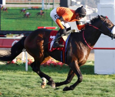 Toy Soltero, horse, Van Nistelrooy, Clásico Copa de Plata Ítalo Traverso, miércoles, 28 de junio de 2023, Valparaíso Sporting Club. Foto: Jaime Cortés