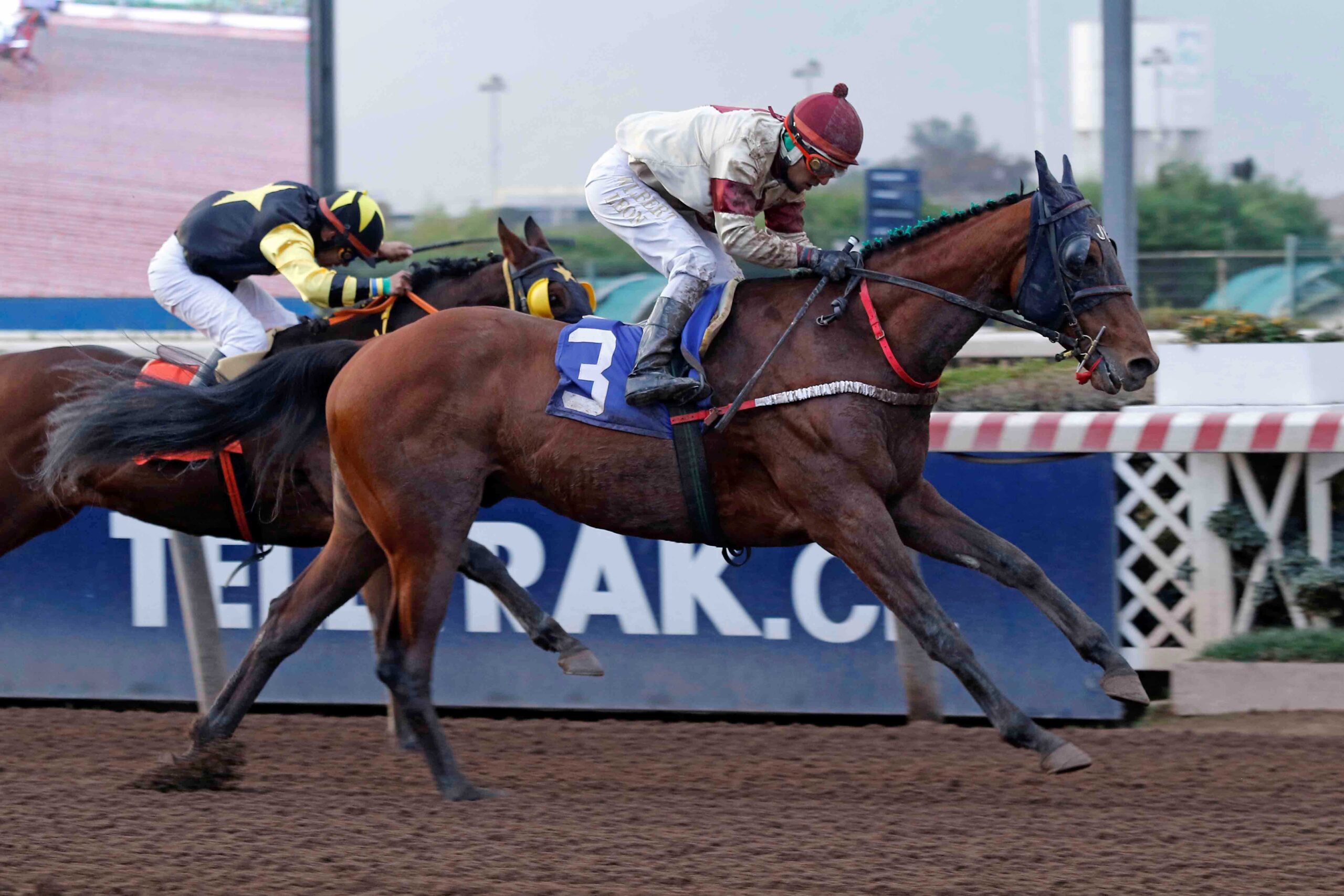 Ya Llegué, horse, Ocean Terrence, Clásico Juan Luis Edwards Sanfuentes, sábado, 10 de junio de 2023, Hipódromo Chile. Foto: Jaime Cortés