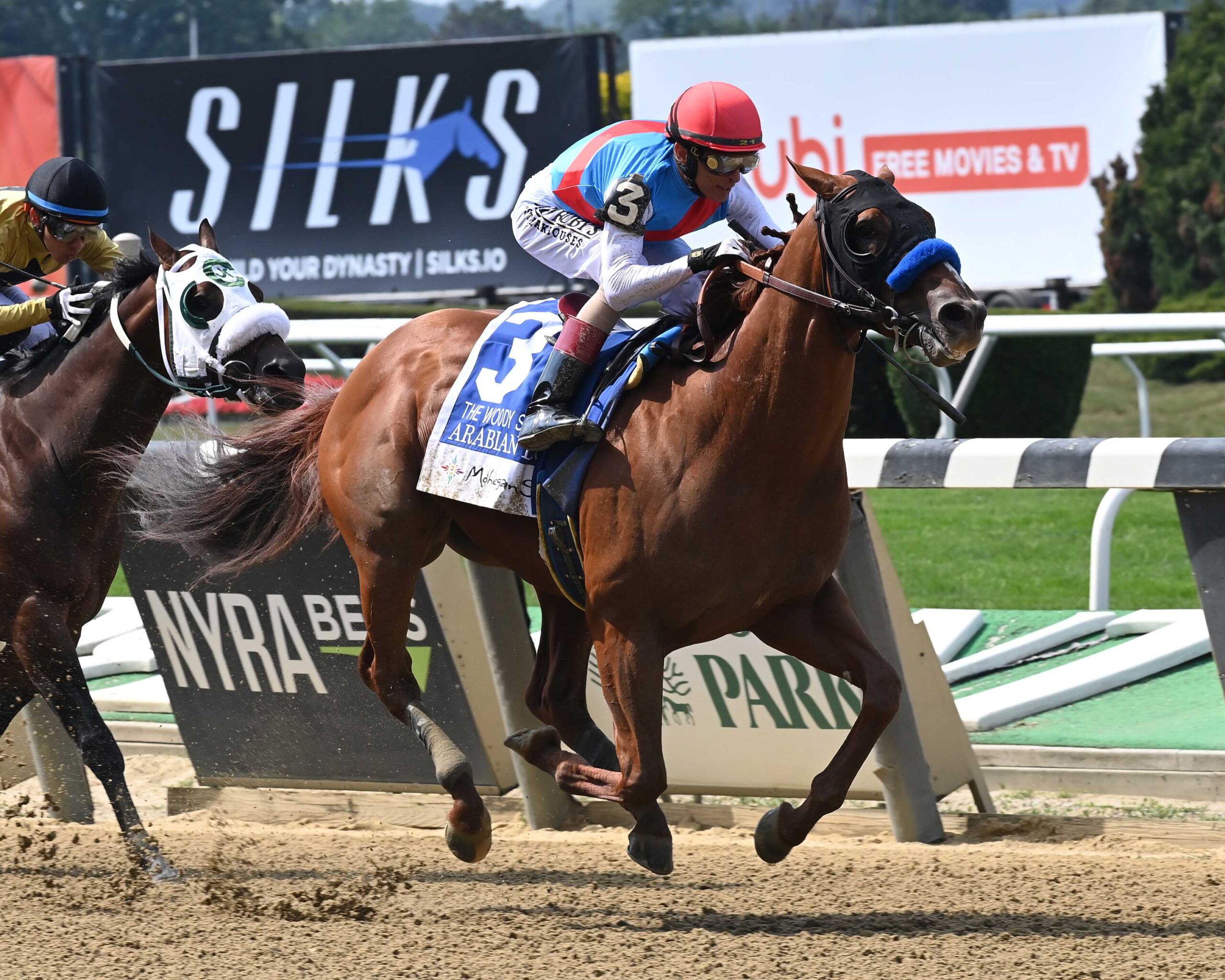 Arabian Lion, horse, Justify, Woody Stephens Stakes, Belmont Stakes Day, sábado, 10 de junio de 2023, Belmont Park. Foto: Coglianese Photo