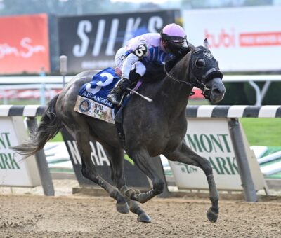 Arcangelo, horse, Don Alberto Corporation, Belmont Stakes, sábado, 10 de junio de 2023, Belmont Park. Foto: Coglaniese Photo
