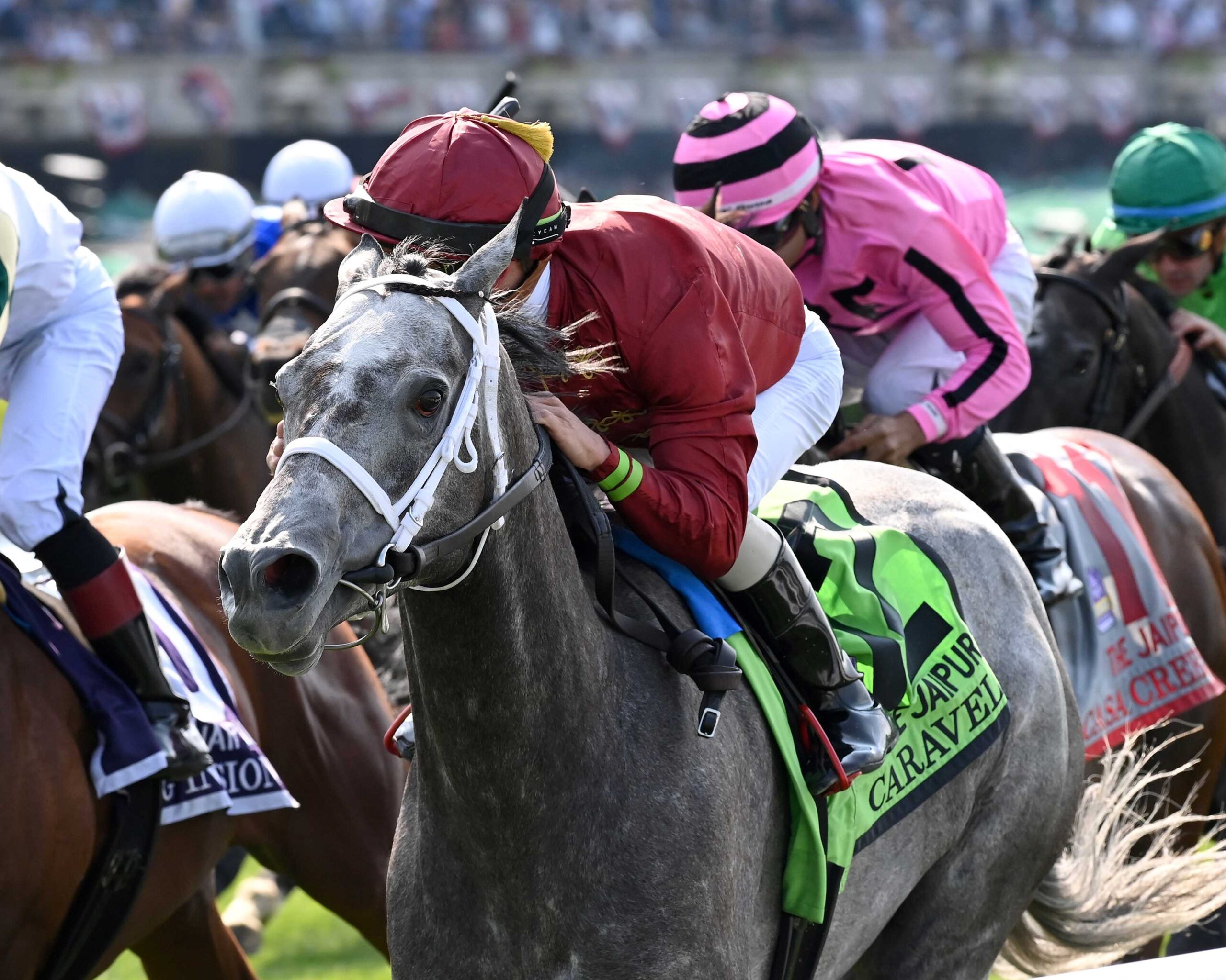Caravel, horse, Madaket Stables, Jaipur Stakes, Belmont Stakes Day, sábado, 10 de junio de 2023, Belmont Park. Foto: Coglianese Photo & Chelsea Durand
