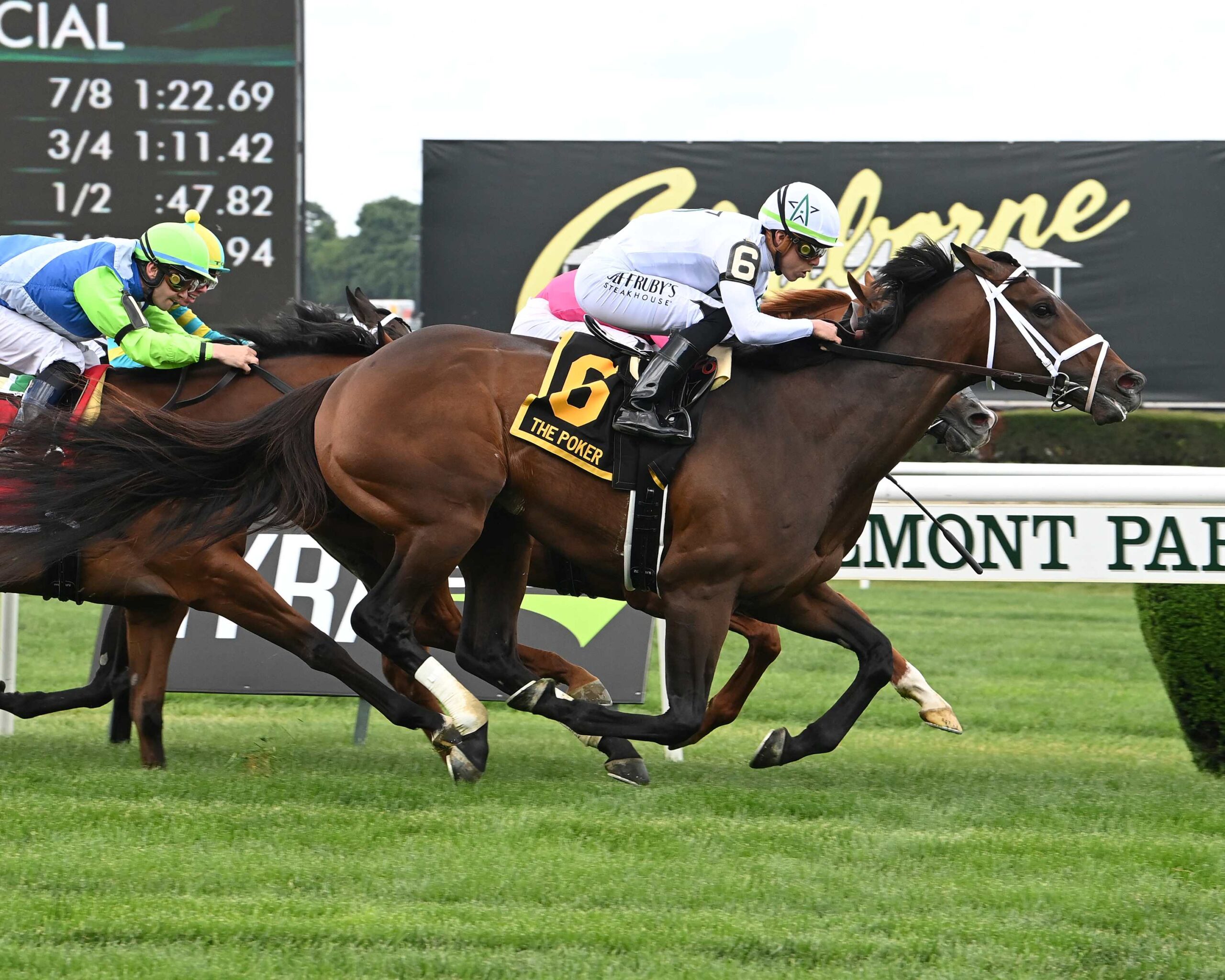 Emmanuel, horse, WinStar Farm, Poker Stakes, Belmont Stakes Day, sábado, 10 de junio de 2023, Belmont Park. Foto: Coglianese Photo