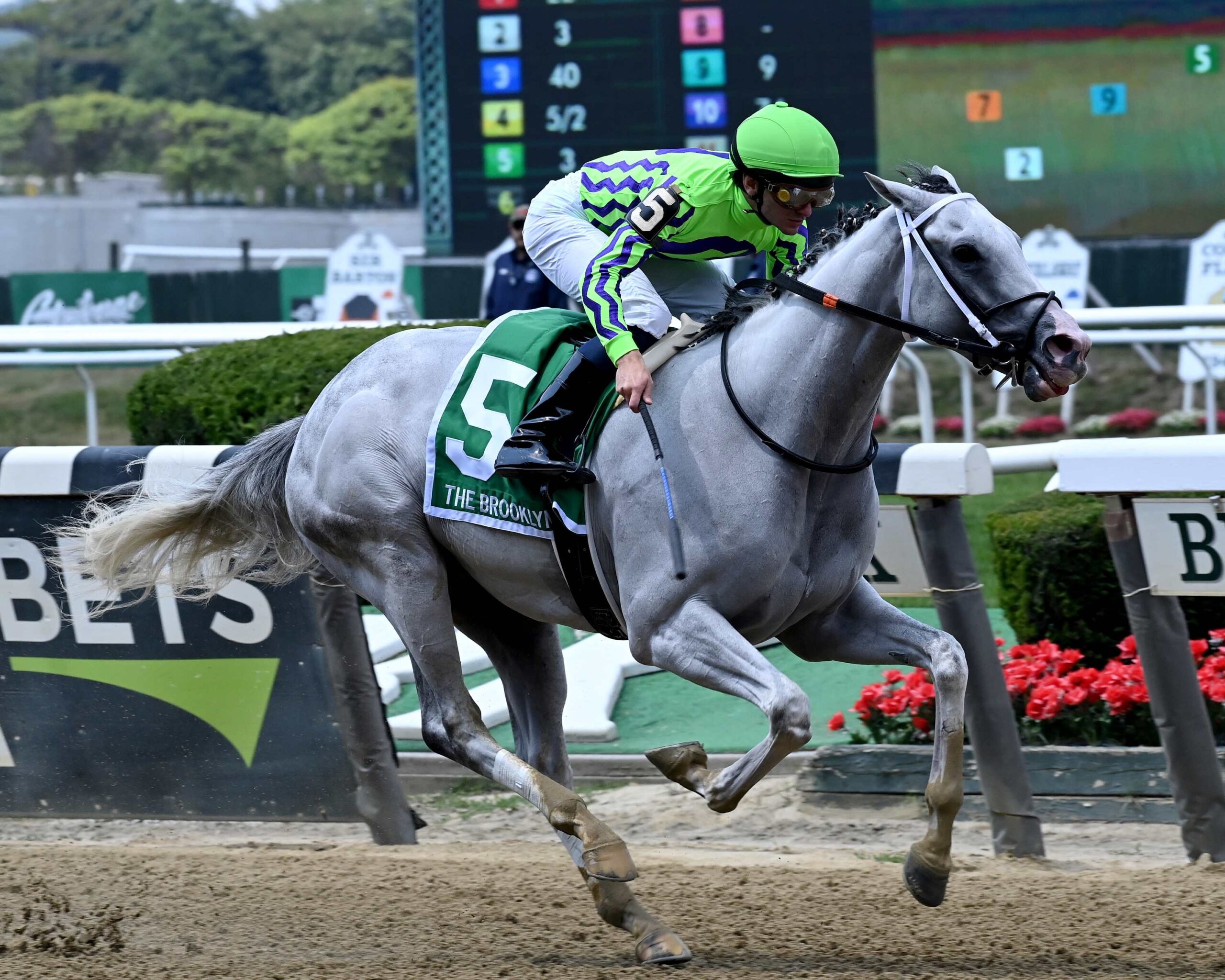 Next, horse, Silverton Hill, Brooklyn Stakes, Belmont Stakes Day, sábado, 10 de junio de 2023, Belmont Park. Foto: Coglianese Photo