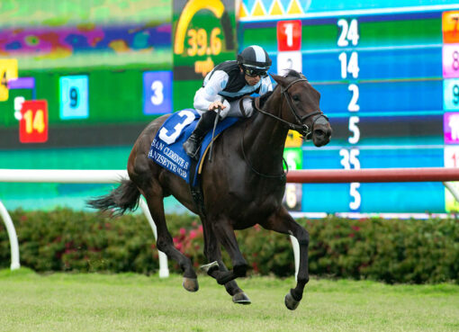 Anisette, Horses, Awtaad, San Clemente Stakes, sábado, 22 de julio de 2023, Del Mar. Foto: Benoit Photo