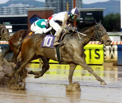 Argota, horse, State Of Play, Clásico Jeremías, sábado, 22 de julio de 2023, Hipódromo Chile. Foto: Jaime Cortés