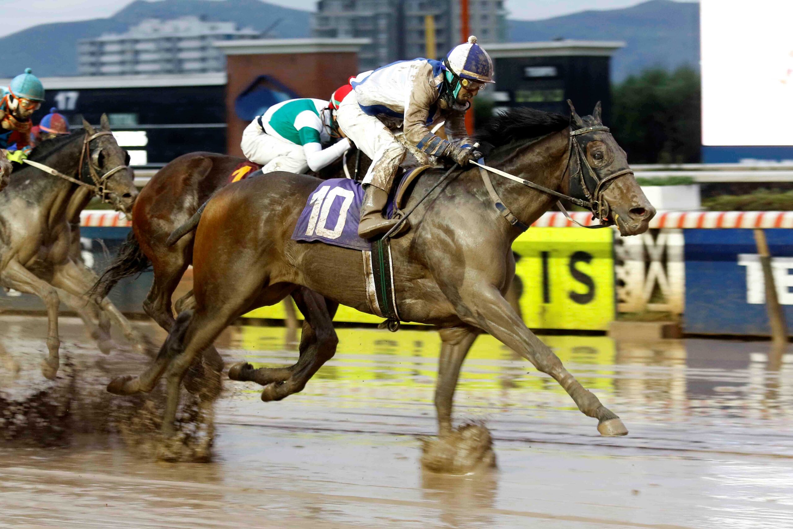 Argota, horse, State Of Play, Clásico Jeremías, sábado, 22 de julio de 2023, Hipódromo Chile. Foto: Jaime Cortés