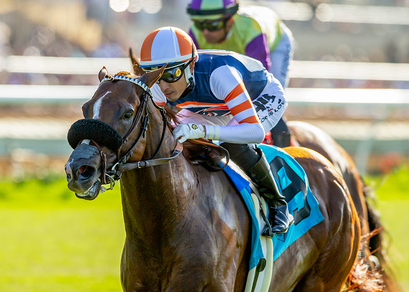Conclude, Horses, Collected, Caesars Sportsbook Oceanside Stakes, viernes, 21 de julio de 2023, Del Mar. Foto: Benoit Photo