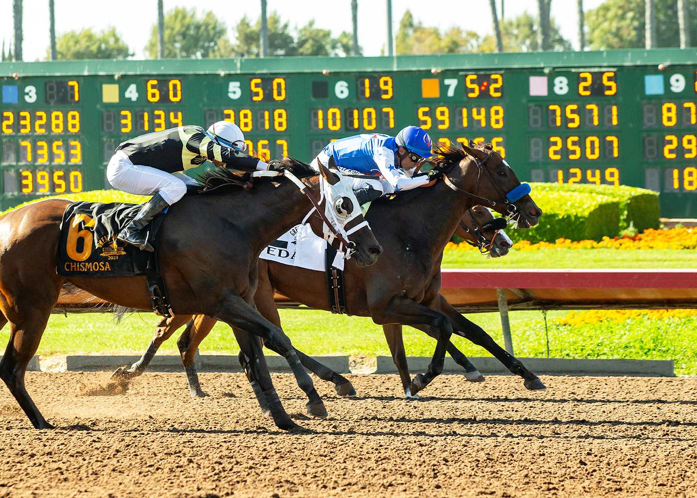 Eda, Horses, Munnings, Great Lady M Stakes, martes, 4 de julio de 2023, Los Alamitos. Foto: Benoit Photo