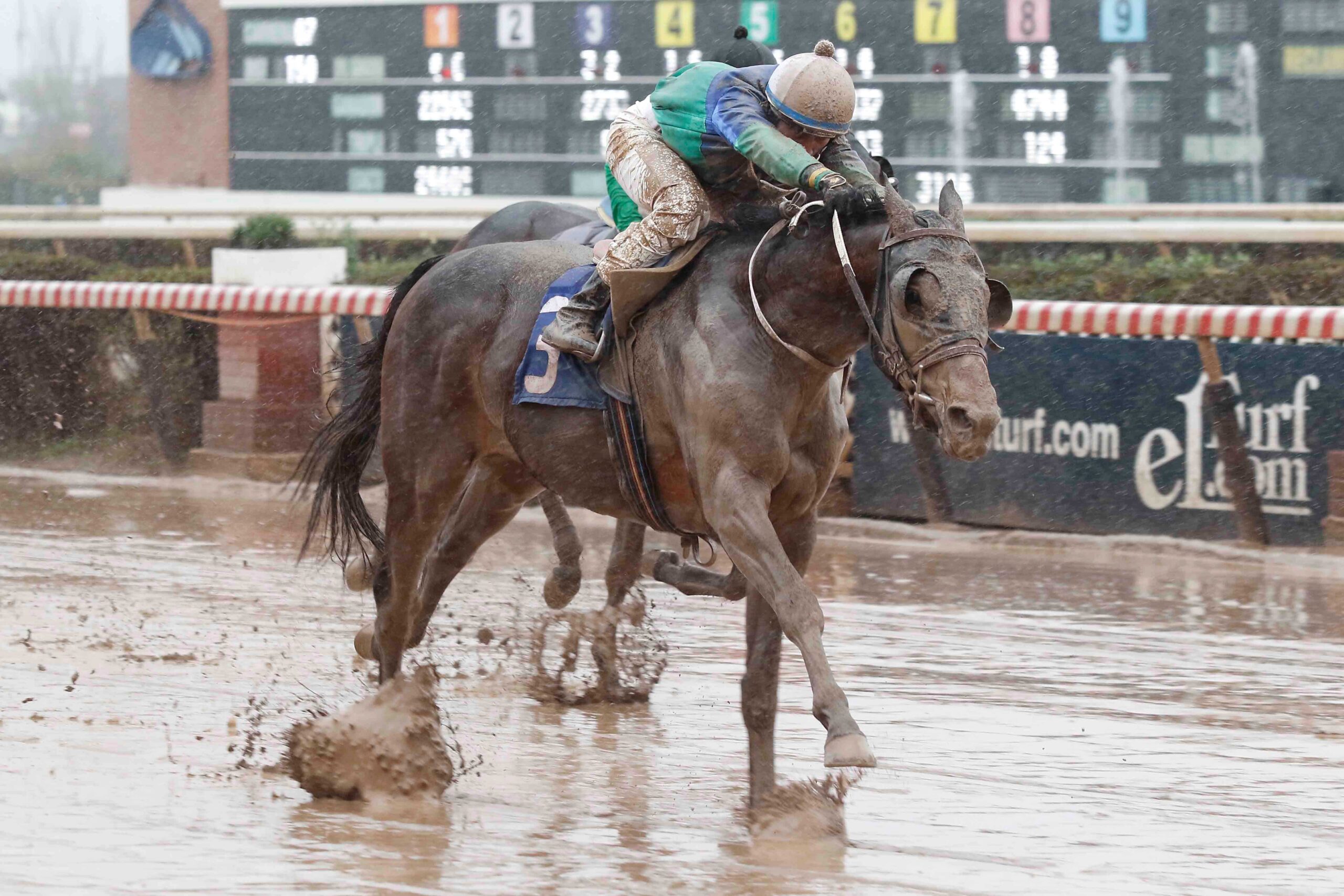 Good Runner, horse, Haras Matriarca, Clásico Gregorio Amunategui Jordán, sábado, 22 de julio de 2023, Hipódromo Chile. Foto: Jaime Cortés