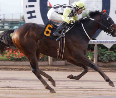 Gran Sensei, horse, Van Nistelrooy, Clásico Monin, jueves, 13 de julio de 2023, Hipódromo Chile. Foto: Jaime Cortés
