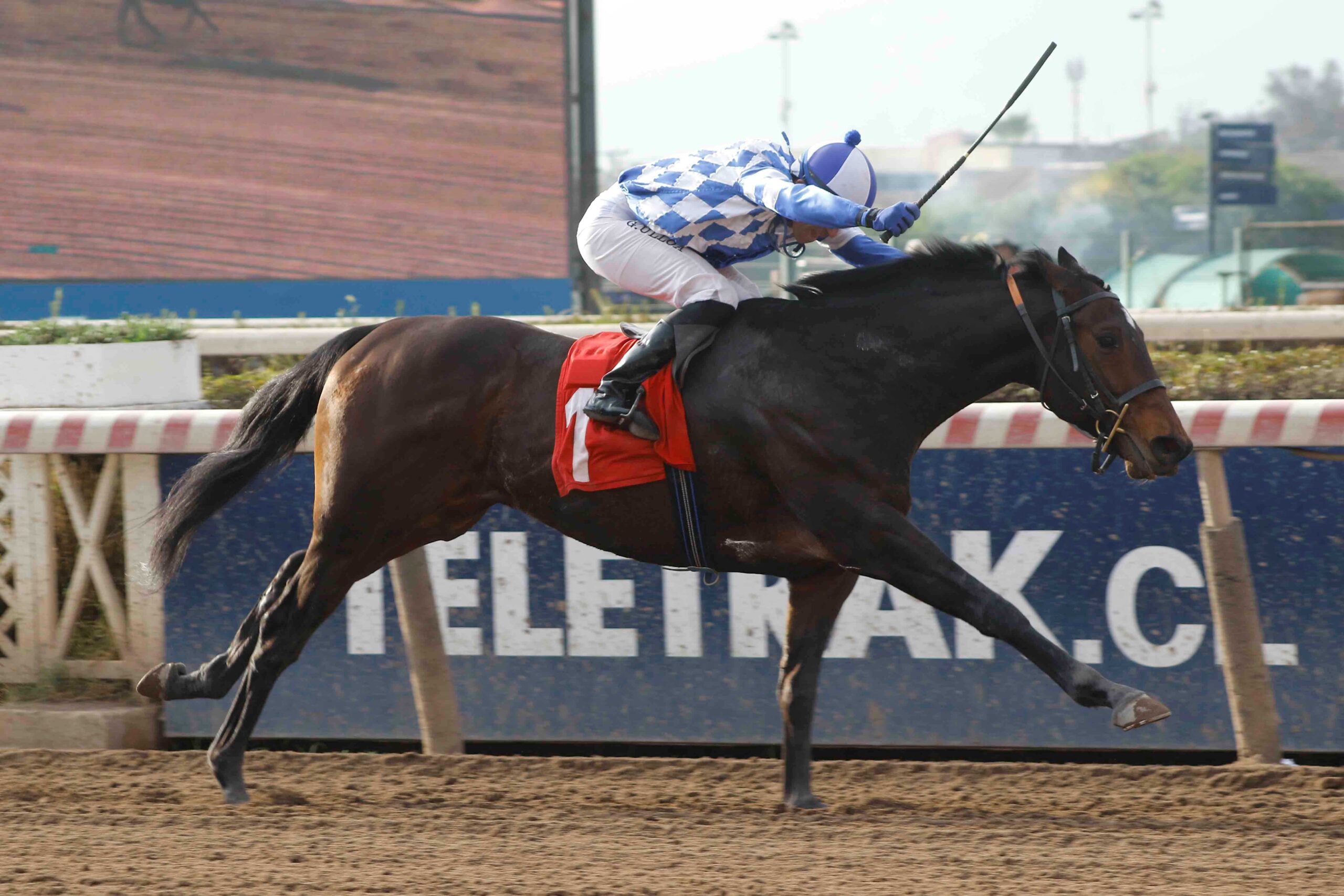 Krakken, horse, Seeking The Día, Clásico Pedro Del Río Talavera, sábado, 8 de julio de 2023, Hipódromo Chile. Foto: Jaime Cortés