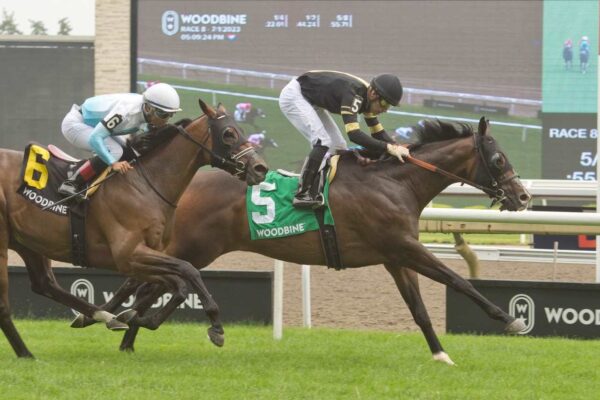 Lucky Score, Horse, Lookin At Lucky, Highlander Stakes, sábado, 1 de julio de 2023, Woodbine. Foto: Michael Burns Photography