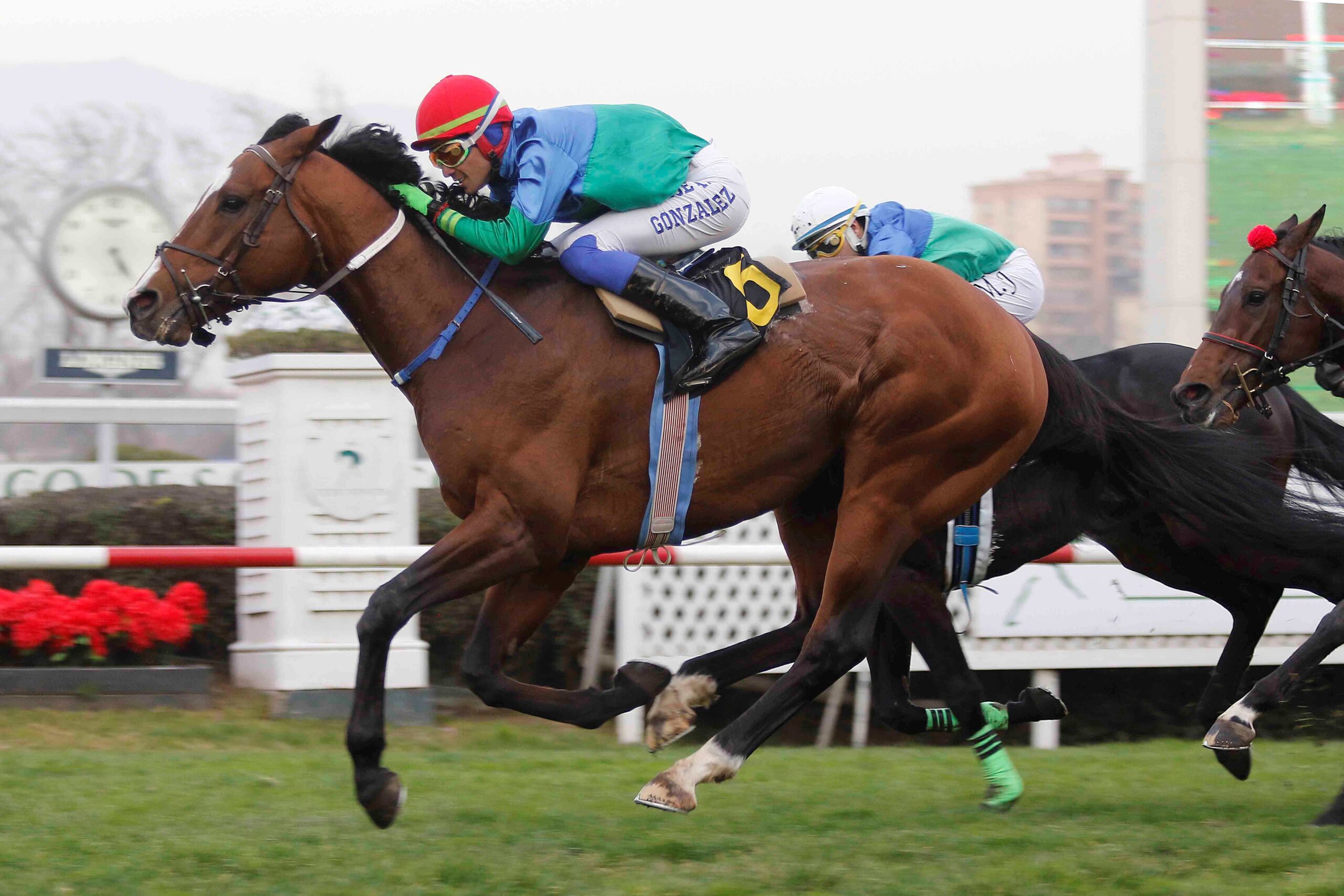 Snooker, horse, Stud Matriarca, Clásico Eugenio Zegers León, viernes, 28 de julio de 2023, Club Hípico de Santiago. Foto: Jaime Cortés
