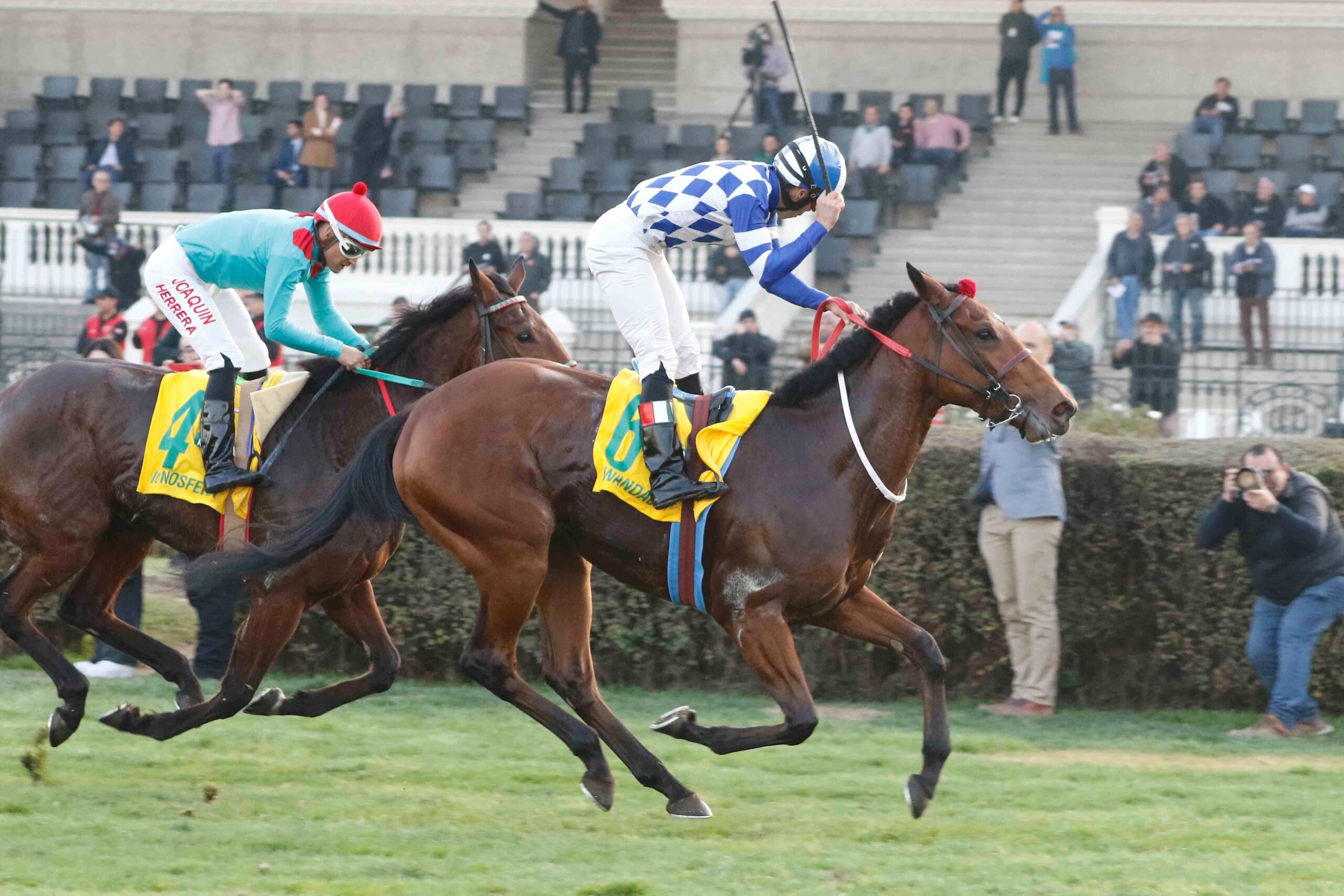 Wandack, horse, Haras Don Alberto, Clásico Arturo Lyon Peña, viernes, 30 de junio de 2022, Club Hípico de Santiago. Foto: Jaime Cortés