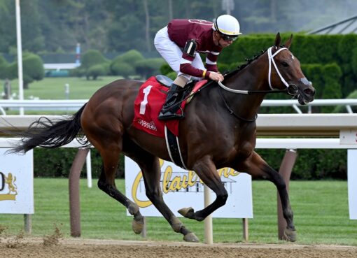 Echo Zulu, horse, Gun Runner, Honorable Miss Hándicap, miércoles, 26 de julio de 2023, Saratoga. Foto: Coglaniese Photo