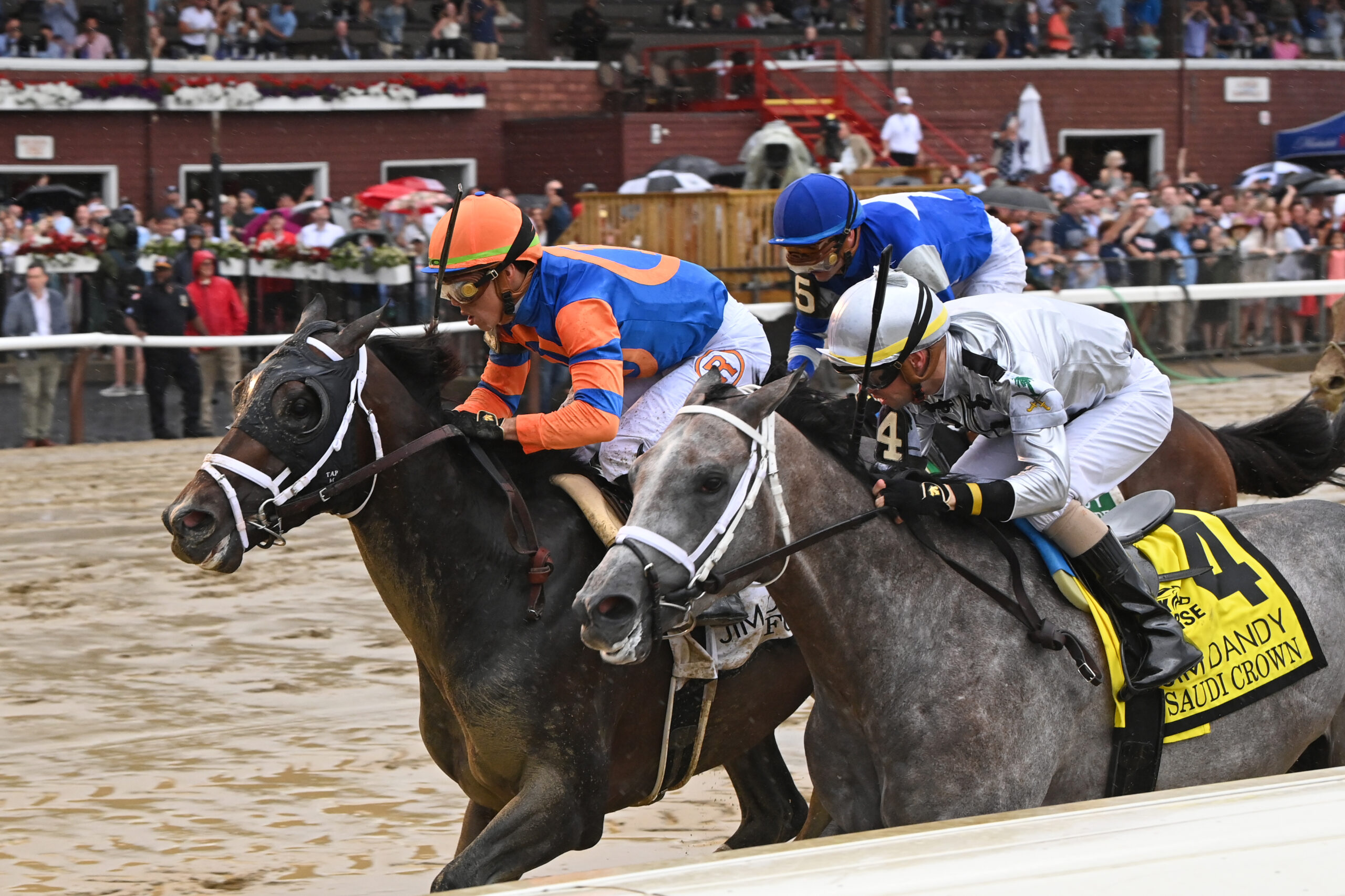 Forte, horse, Violence, Jim Dandy, sábado, 29 de julio de 2023, Saratoga. Foto: Coglaniese Photo & Chelsea Durand
