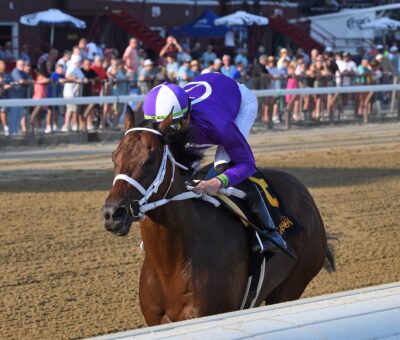 New York Thunder, horse, horse, Nyquist, Amsterdam Stakes, viernes, 28 de julio de 2023, Belmont Park. Foto: Coglaniese Photo & Chelsea Durand