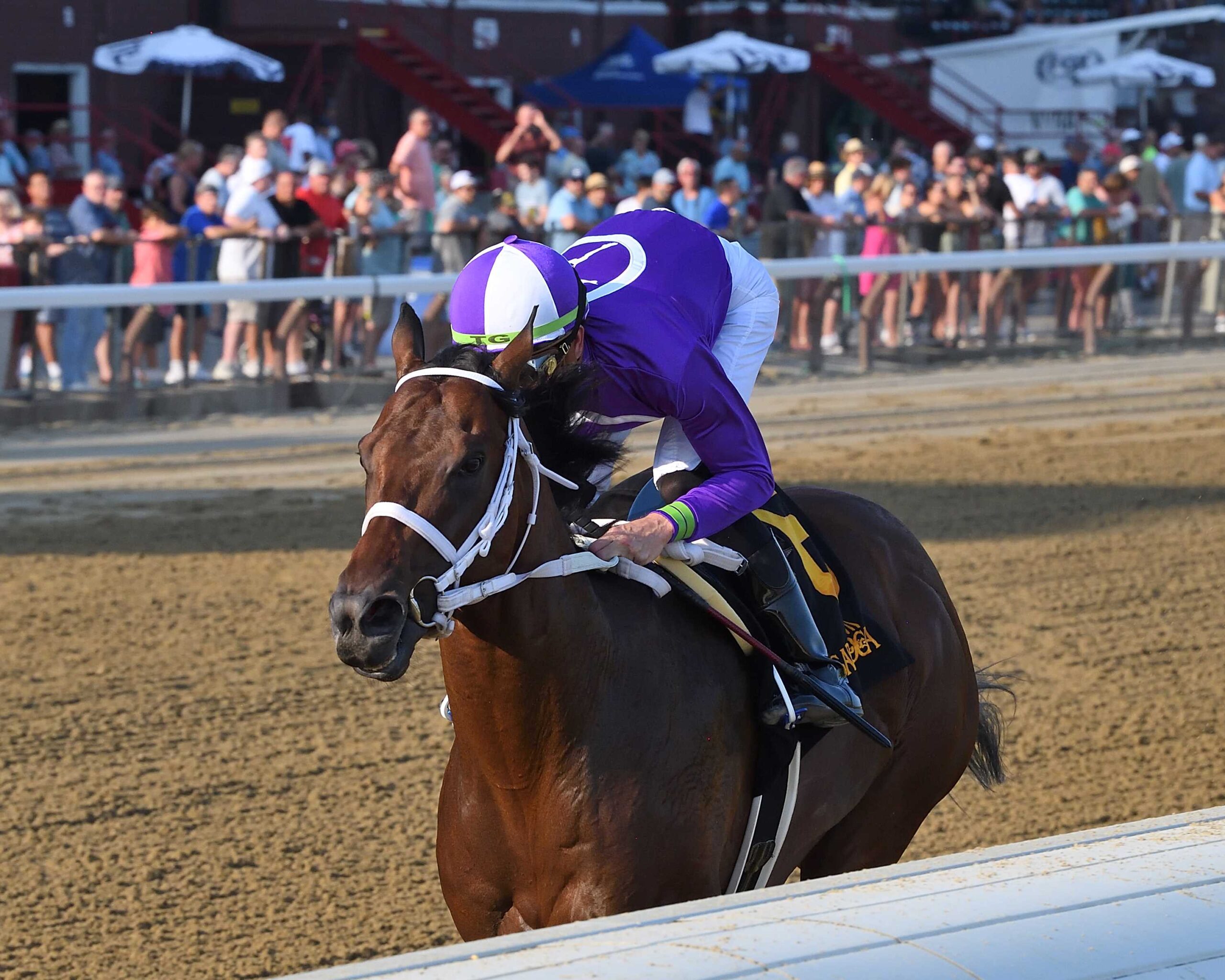 New York Thunder, horse, horse, Nyquist, Amsterdam Stakes, viernes, 28 de julio de 2023, Belmont Park. Foto: Coglaniese Photo & Chelsea Durand