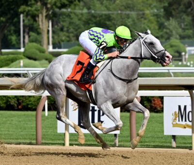 Next, horse, Not This Time, Birdstone Stakes, jueves, 27 de julio de 2023, Saratoga. Foto: Coglaniese Photo