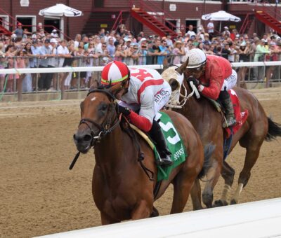 Randomized, horse, Nyquist, Wilton Stakes, viernes, 14 de julio de 2023, Saratoga. Foto: Coglaniese Photo & Chelsea Durand