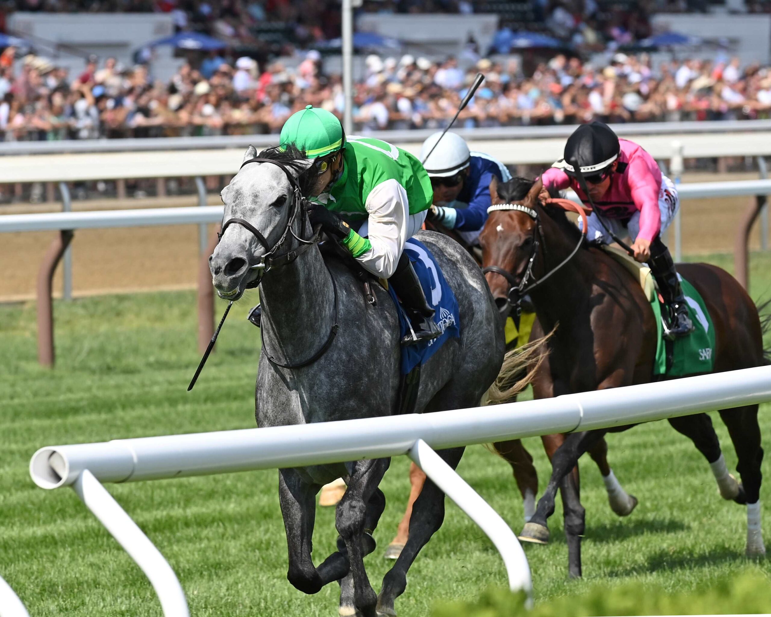 Roses For Debra, horse, Liam´s Map, Caress Stakes, sábado, 22 de julio de 2023, Saratoga. Foto: Coglaniese Photo & Chelsea Durand