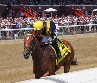 Scotland, horse, LNJ Foxwoods, Curlin Stakes, viernes, 21 de julio de 2023, Saratoga. Foto: Coglaniese Photo & Chelsea Durand