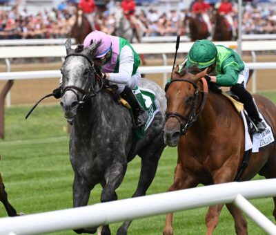 Whitebeam, horse, Juddmonte Farms, Diana Stakes, sábado, 15 de julio de 2023, Saratoga. Foto: Coglaniese Photo & Chelsea Durand