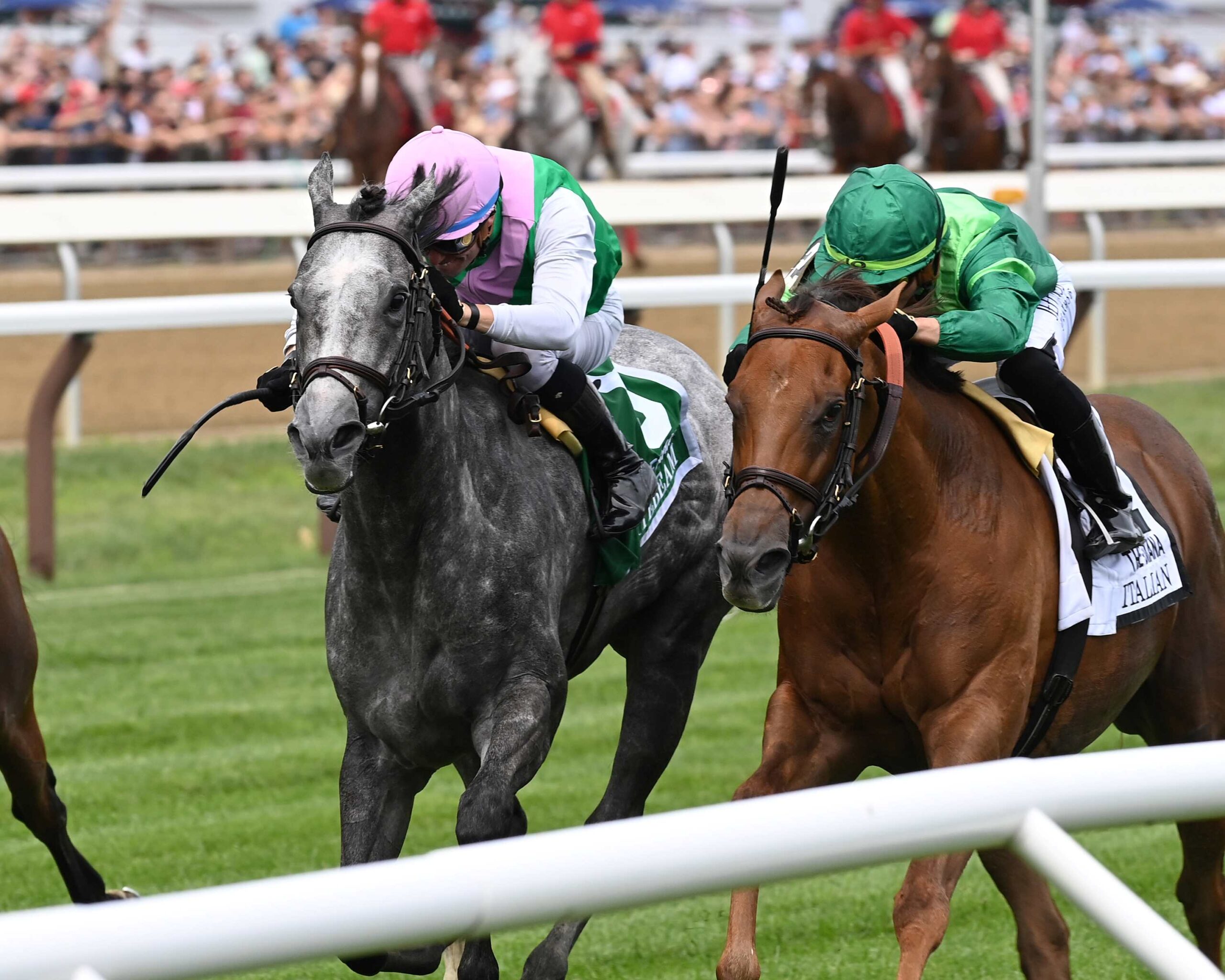 Whitebeam, horse, Juddmonte Farms, Diana Stakes, sábado, 15 de julio de 2023, Saratoga. Foto: Coglaniese Photo & Chelsea Durand
