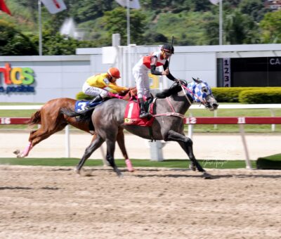 Another Legacy, horse, Thaabian, Clásico Julián Abdala, domingo, 27 de agosto de 2023, La Rinconada. Foto: José Antonio Aray