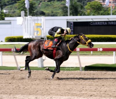 Bravucón, horse, Roger Rocket, Clásico Sprinters, domingo, 27 de agosto de 2023, La Rinconada. Foto: José Antonio Aray