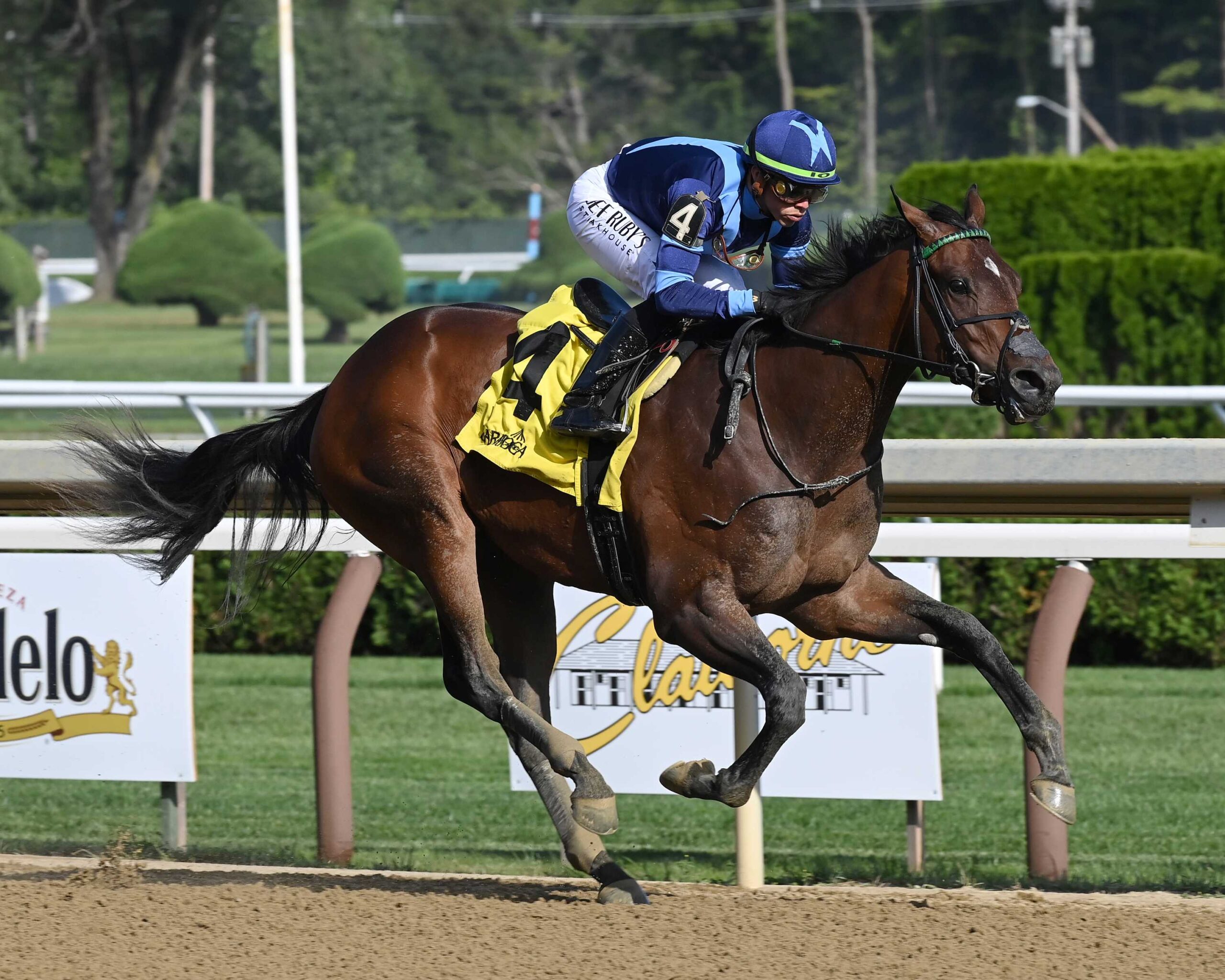 Brightwork, horse, Outwork, Adirondack Stakes, domingo, 6 de agosto de 2023, Saratoga. Foto: Coglaniese Photo