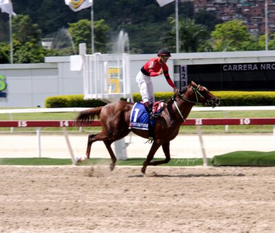 Catire Pedro, horse, Vista Hermosa, Clásico Copa Invitacional del Caribe, domingo, 27 de agosto de 2023, La Rinconada. Foto: José Antonio Aray