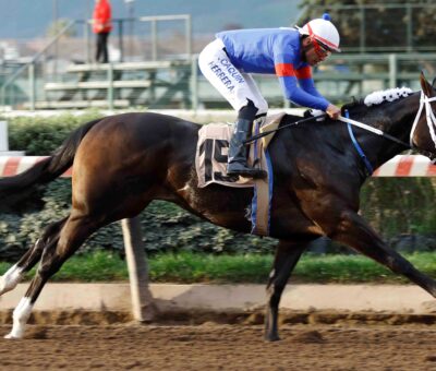 Con Compañía, horse, Haras Santa Sara, Clásico República del Perú, jueves, 18 de agosto de 2023, Hipódromo Chile. Foto: Jaime Cortés