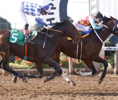 El Egipcio, horse, Haras Carioca, Clásico Libertador Bernardo O Higgins Riquelme, sábado, 3 de agosto de 2023, Hipódromo de Chile. Foto: Jaime Cortés